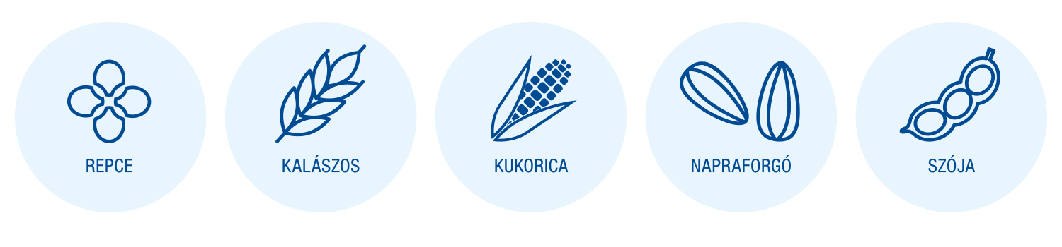 Kwizda piktogrammok