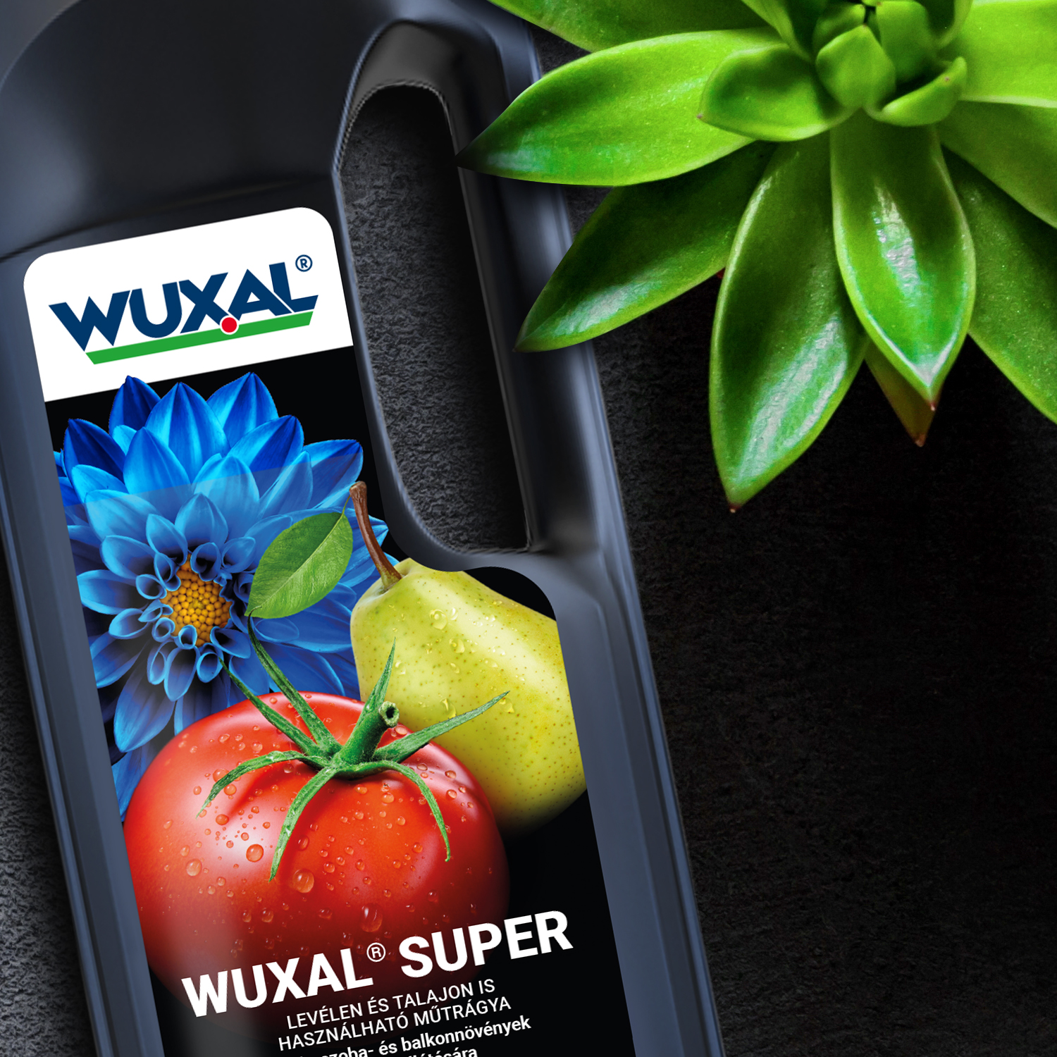 Wuxal címkedesign
